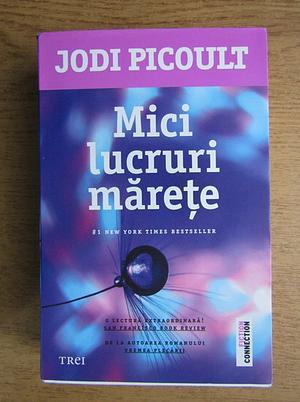 Mici lucruri mărețe by Jodi Picoult