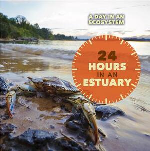 24 Hours in an Estuary by Laura L. Sullivan