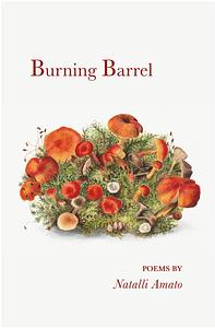 Burning Barrel by Natalli Amato