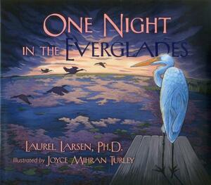 One Night in the Everglades by Laurel Larsen