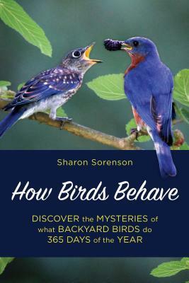 How Birds Behave: Discover the Mysteries of What Backyard Birds Do 365 Days of the Year by Sharon Sorenson