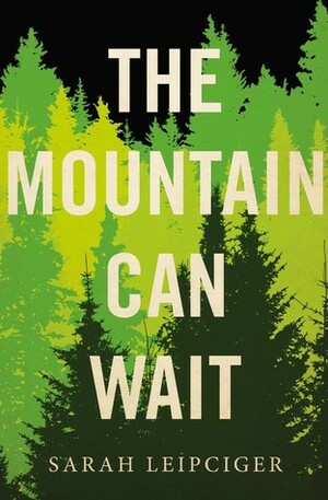 The Mountain Can Wait by Sarah Leipciger