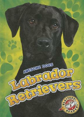 Labrador Retrievers Labrador Retrievers by Chris Bowman
