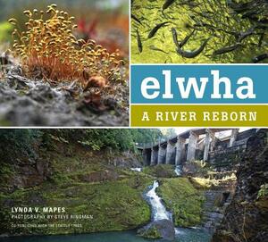 Elwha: A River Reborn by Lynda V. Mapes