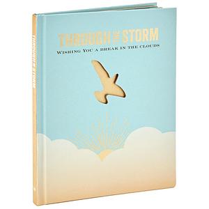 Through the Storm: WIshing You a Break in the Clouds by Hallmark