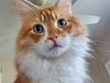 iwri_ende's profile picture