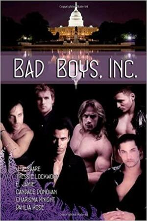 Bad Boys, Inc. by J.A. Saare, Tressie Lockwood, Charisma Knight, E. Jamie, Candace Donovan, Dahlia Rose