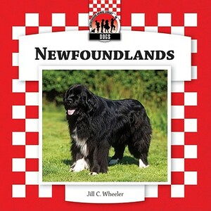 Newfoundlands by Jill C. Wheeler