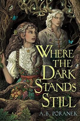 Where the Dark Stands Still by A.B. Poranek