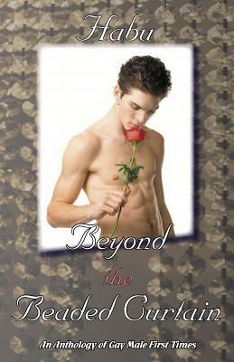 Beyond the Beaded Curtain: An Anthology of Gay First Times by Habu
