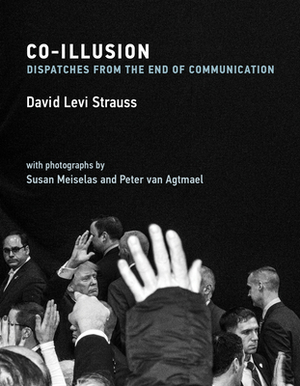 Co-Illusion: Dispatches from the End of Communication by David Levi Strauss