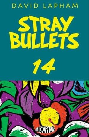 Stray Bullets #14 by David Lapham