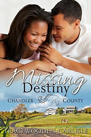 Missing Destiny by Traci Wooden-Carlisle