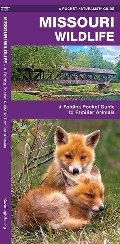 Missouri Wildlife: A Folding Pocket Guide to Familiar Animals by Waterford Press, James Kavanagh