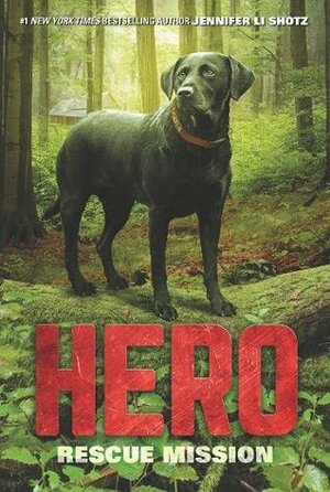 Hero: Rescue Mission by Jennifer Li Shotz