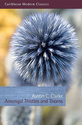 Amongst Thistles and Thorns by Austin Clarke