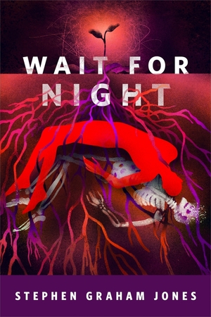 Wait for Night by Stephen Graham Jones