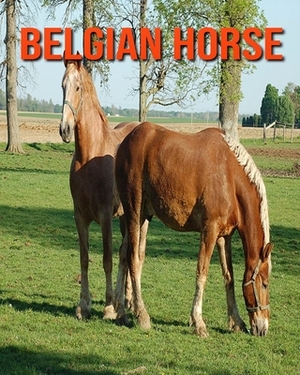 Belgian Horse: Learn About Belgian Horse and Enjoy Colorful Pictures by Diane Jackson