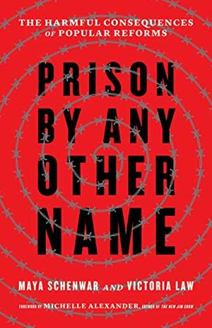 Prison by Any Other Name: The Harmful Consequences of Popular Reforms by Maya Schenwar, Victoria Law