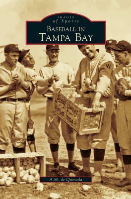 Baseball in Tampa Bay by Alejandro M. de Quesada