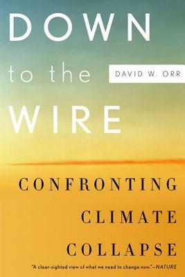 Down to the Wire: Confronting Climate Collapse by David W. Orr