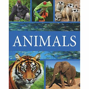 Animals by Jinny Johnson, Martin Walters