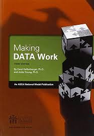 Making Data Work by Anita Young, Carol Kaffenberger