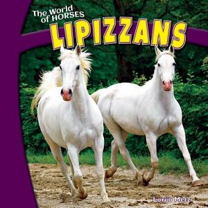 Lipizzans by Lorijo Metz