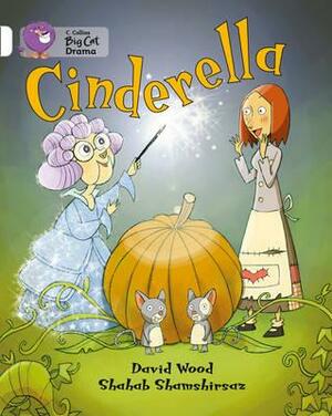 Cinderella Workbook by David Wood