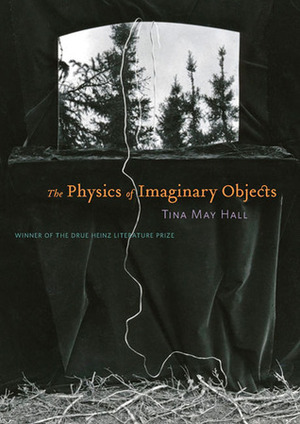 The Physics of Imaginary Objects by Tina May Hall