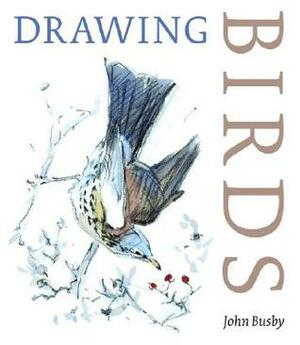 Drawing Birds by John Busby