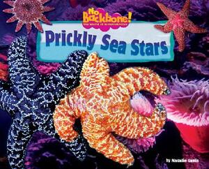 Prickly Sea Stars by Natalie Lunis