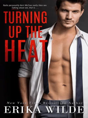 Turning Up the Heat by Janelle Denison, Erika Wilde