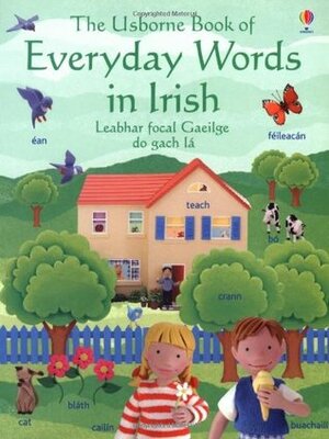Everyday Words In Irish by Jo Litchfield