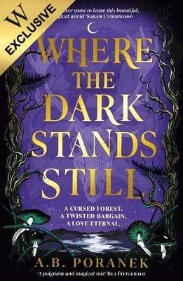 Where the Dark Stands Still by A.B. Poranek