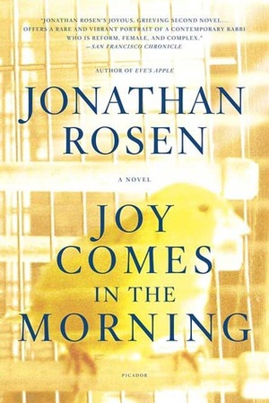 Joy Comes in the Morning by Jonathan Rosen
