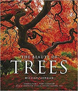 The Beauty of Trees by Michael Jordan