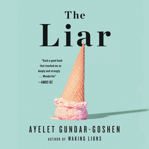 The Liar by Ayelet Gundar-Goshen