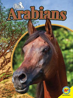 Arabians by Pamela Dell