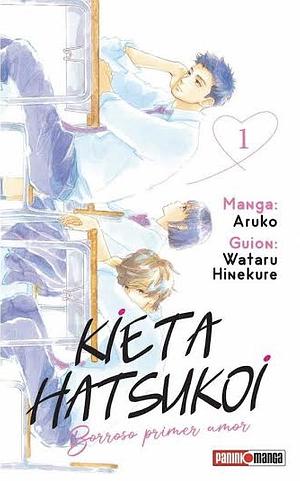 Kieta Hatsukoi: Borroso primer amor 1 by Aruko, Wataru Hinekure