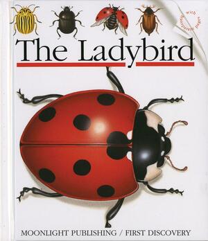 The Ladybird by Pascale de Bourgoing