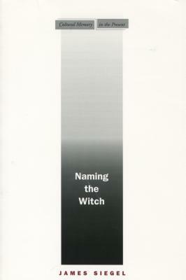 Naming the Witch by James Siegel