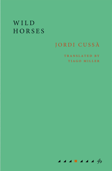 Wild Horses by Jordi Cussà