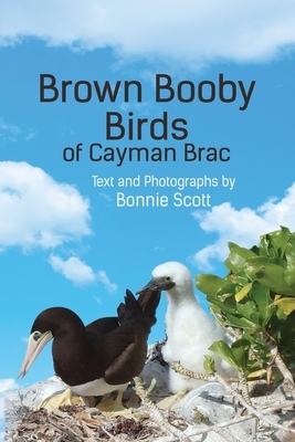 Brown Booby Birds of Cayman Brac by Bonnie Scott