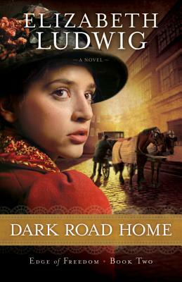 Dark Road Home by Elizabeth Ludwig