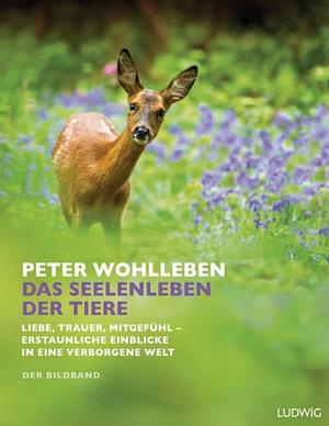 Das Seelenleben der Tiere: Liebe, Trauer, Mitgefühl - erstaunliche Einblicke in eine verborgene Welt by Peter Wohlleben