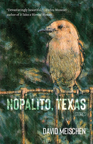 Nopalito, Texas: Stories by David Meischen