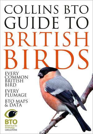 Collins BTO Guide to British Birds by Paul Stancliffe, Paul Sterry