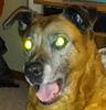 fablejack's profile picture