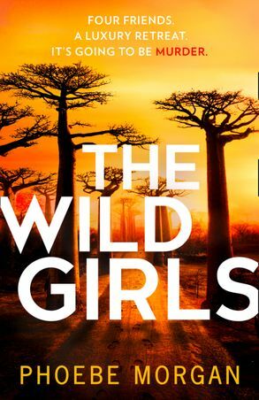 The Wild Girls by Phoebe Morgan